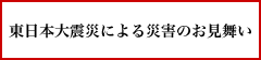 東北地方太平洋沖地震