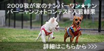 Fotonoma写真