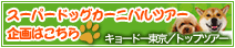 ツアーパック